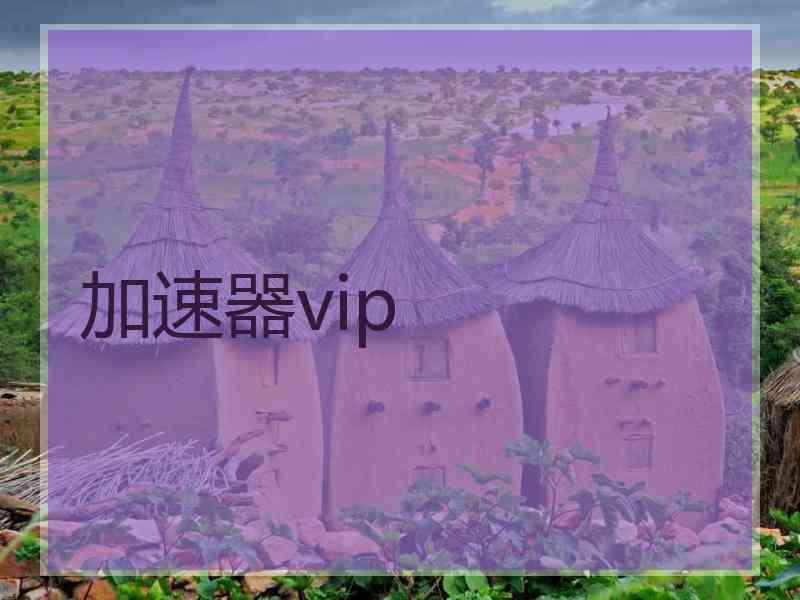 加速器vip