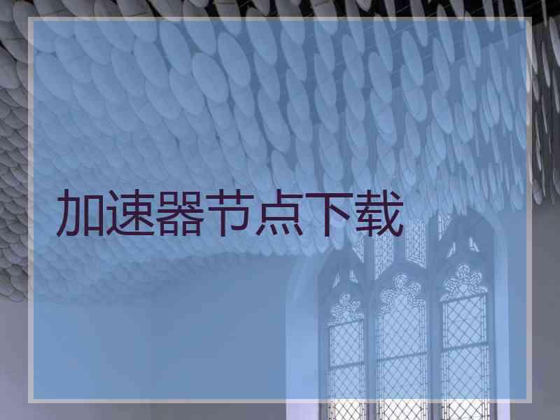 加速器节点下载