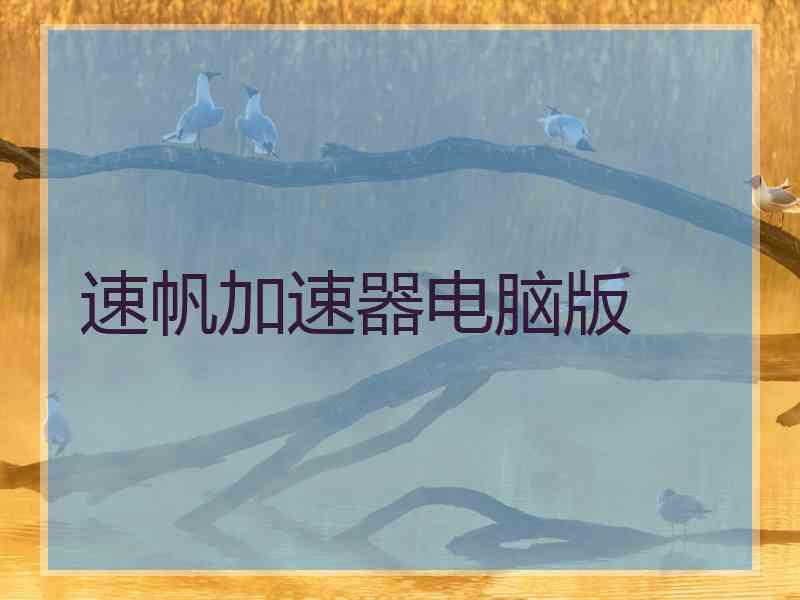 速帆加速器电脑版