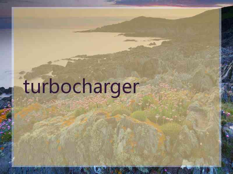 turbocharger
