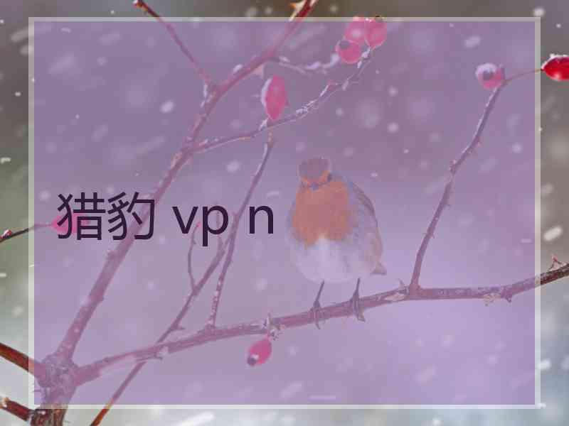 猎豹 vp n