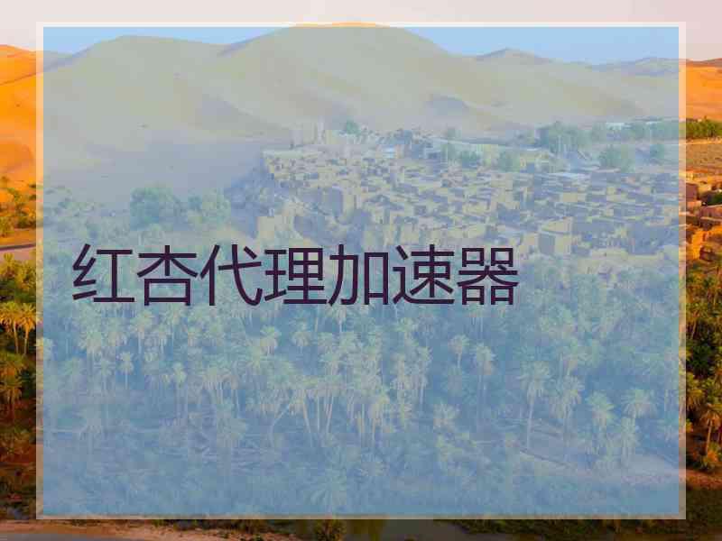 红杏代理加速器