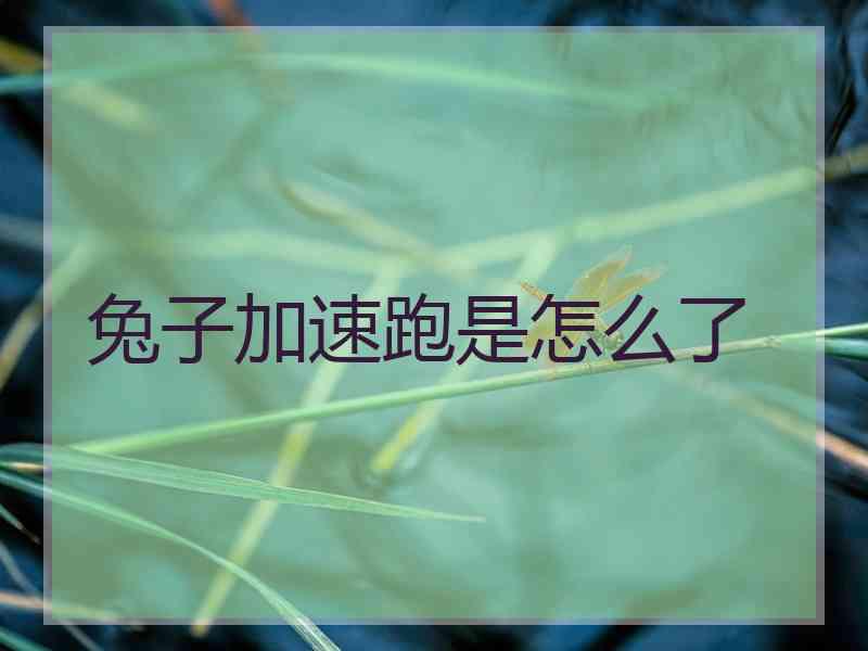 兔子加速跑是怎么了