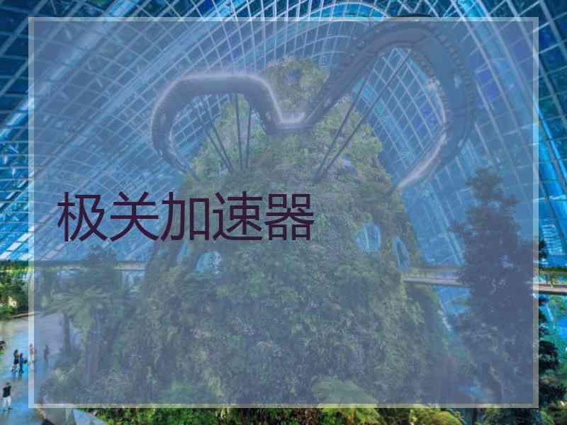 极关加速器