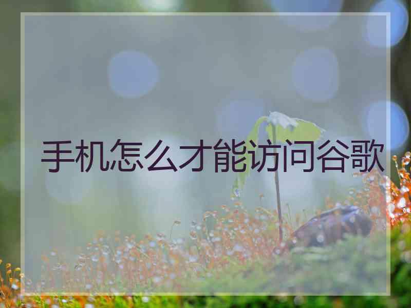 手机怎么才能访问谷歌