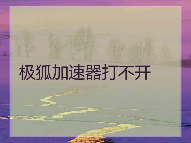 极狐加速器打不开