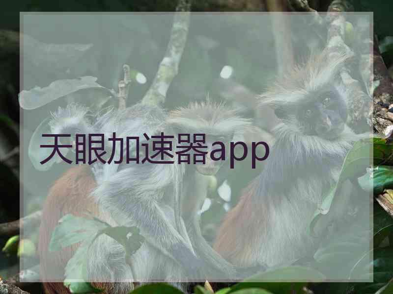 天眼加速器app