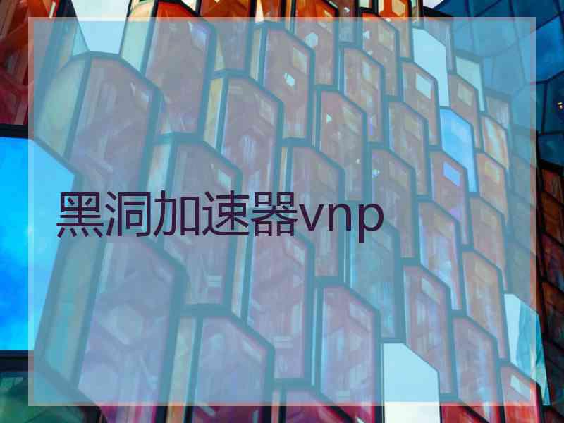 黑洞加速器vnp