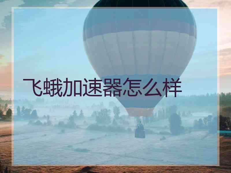 飞蛾加速器怎么样