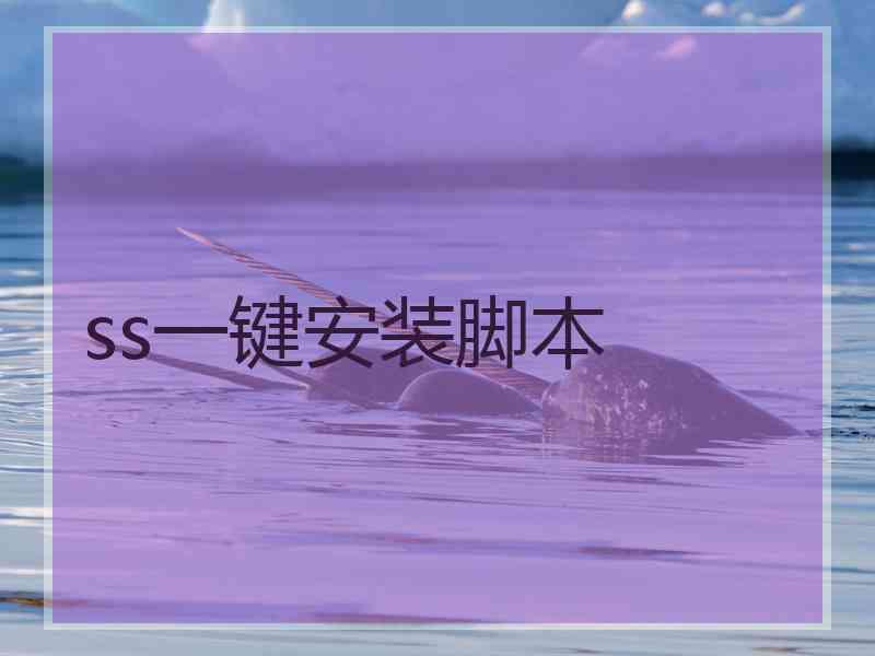 ss一键安装脚本