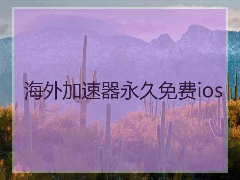 海外加速器永久免费ios