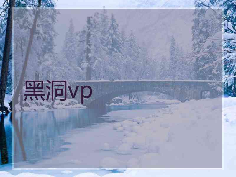 黑洞vp
