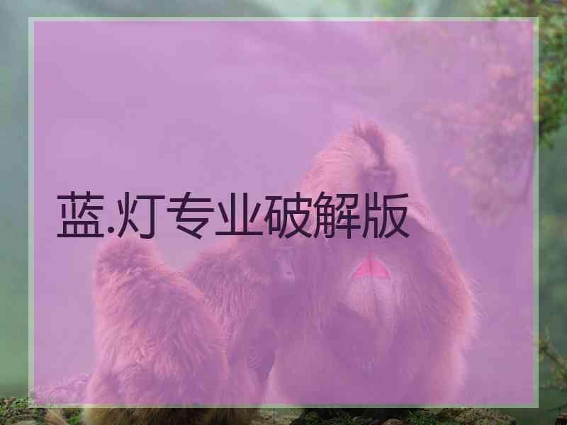 蓝.灯专业破解版