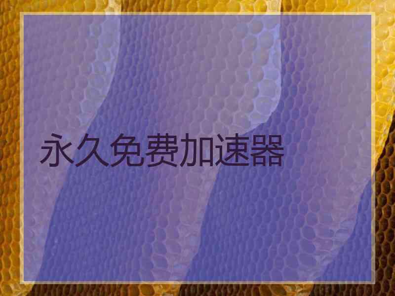 永久免费加速器
