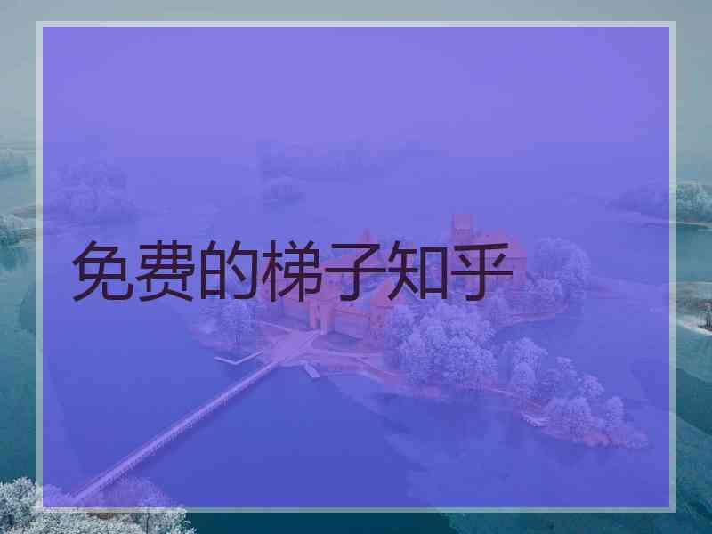 免费的梯子知乎
