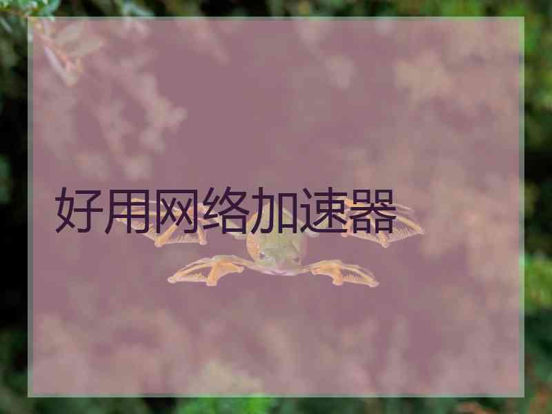 好用网络加速器