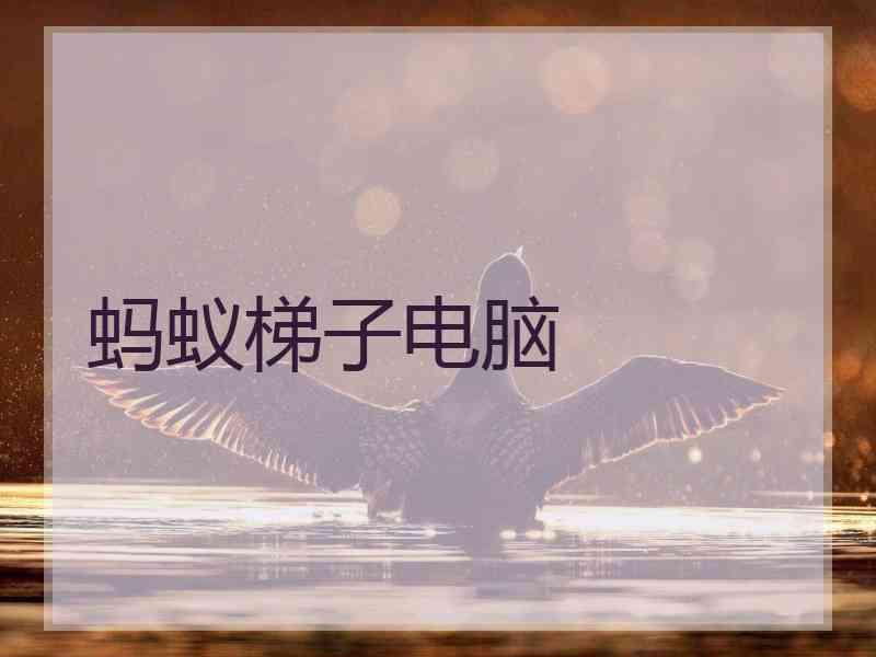 蚂蚁梯子电脑
