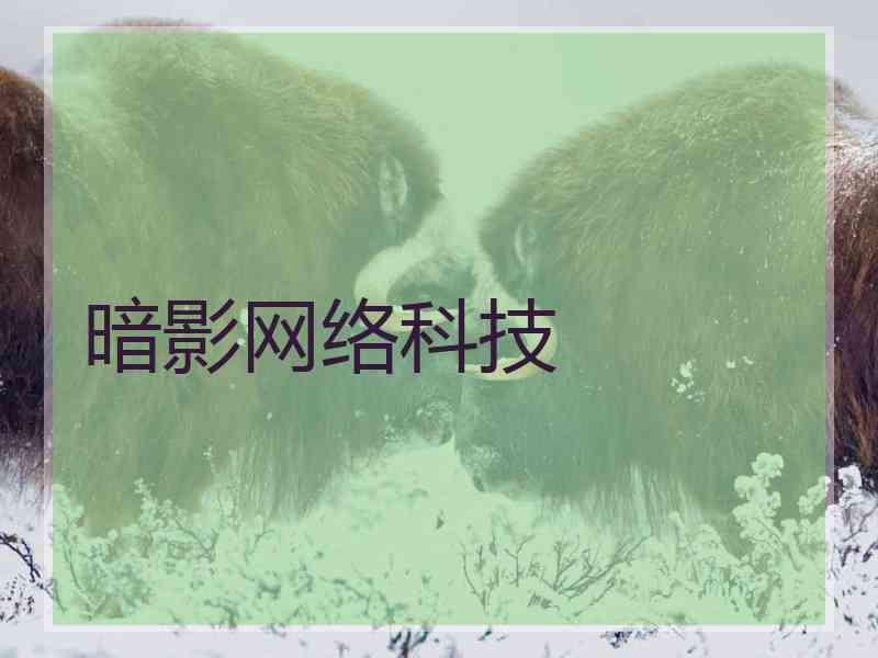 暗影网络科技