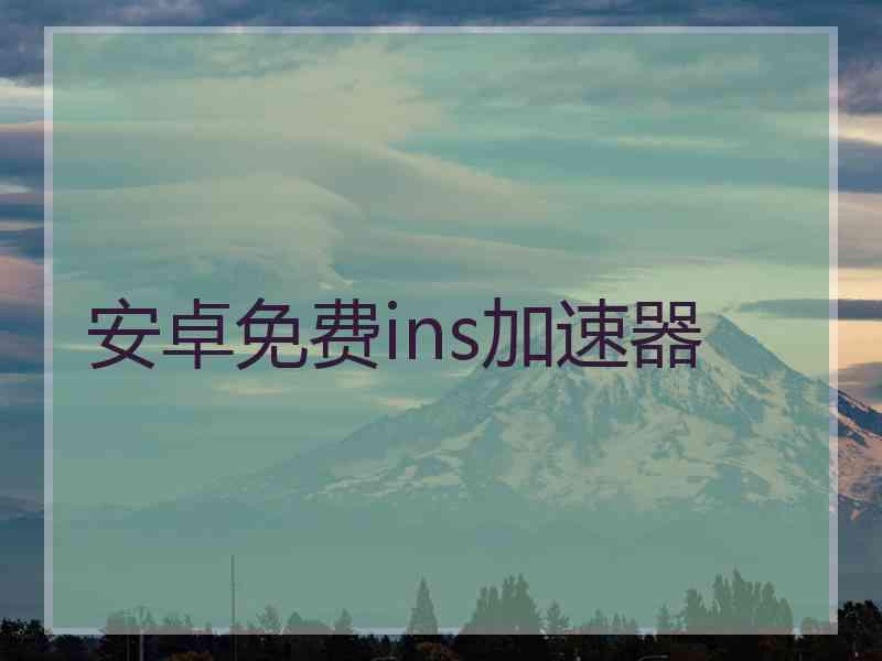 安卓免费ins加速器
