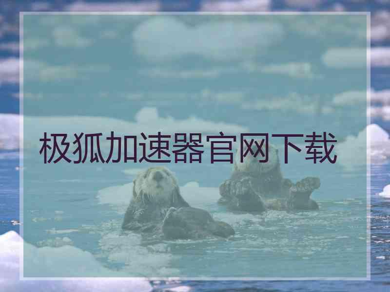 极狐加速器官网下载
