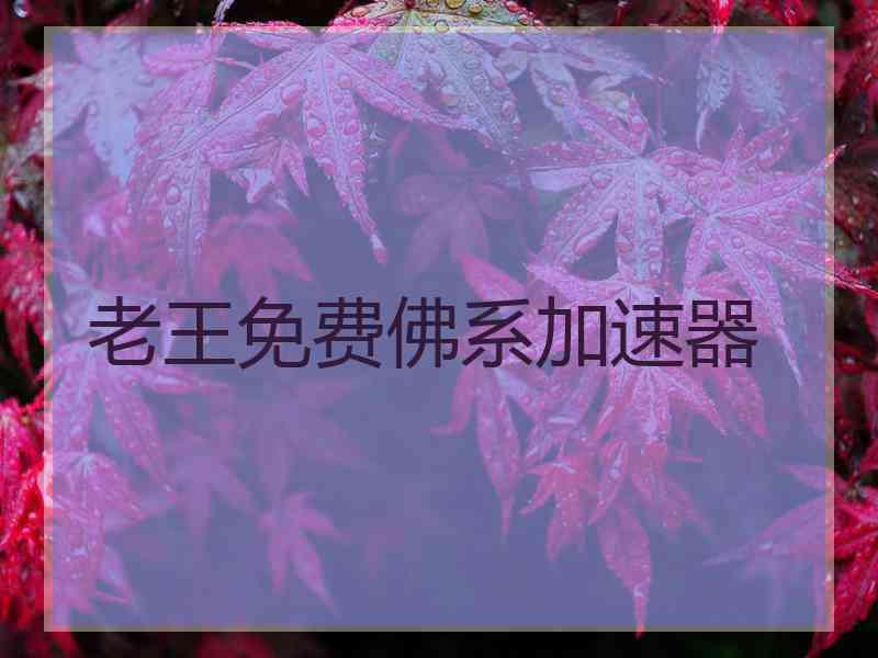 老王免费佛系加速器