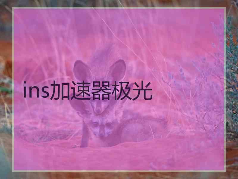 ins加速器极光