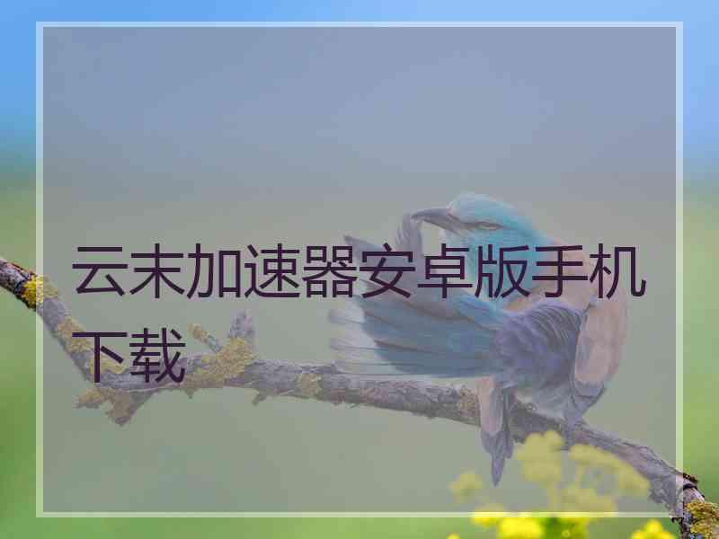 云末加速器安卓版手机下载