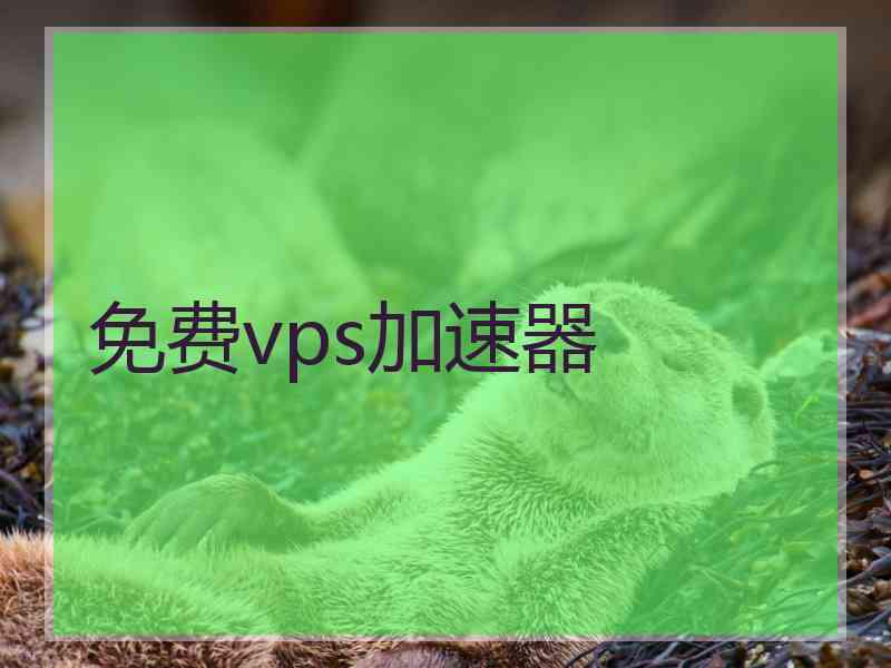 免费vps加速器