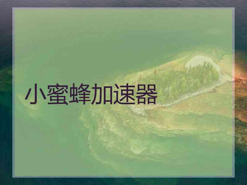 小蜜蜂加速器
