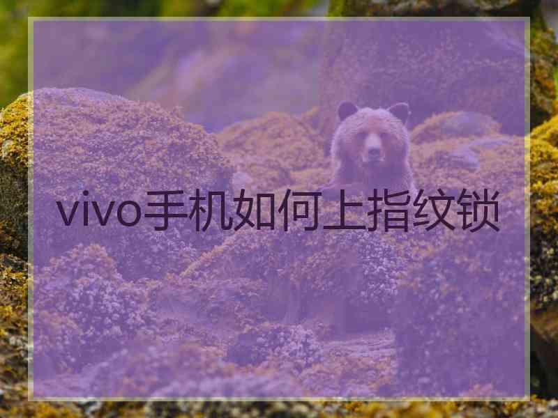 vivo手机如何上指纹锁