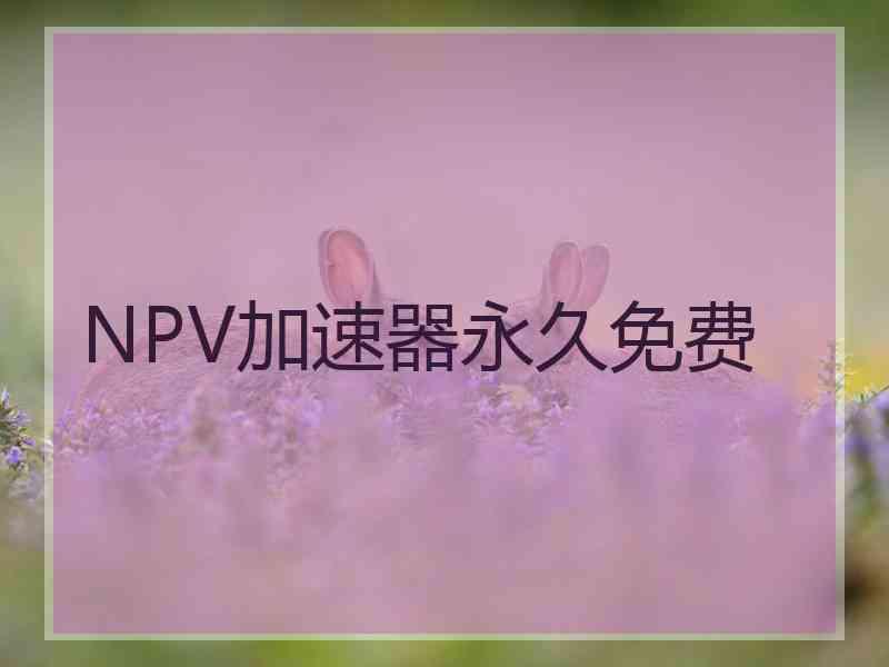 NPV加速器永久免费