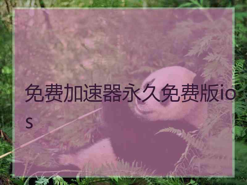 免费加速器永久免费版ios