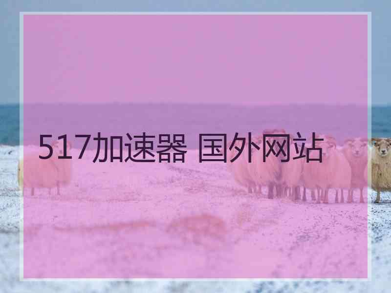 517加速器 国外网站