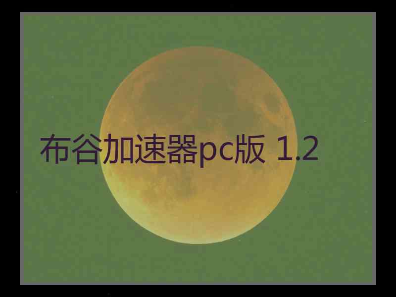 布谷加速器pc版 1.2