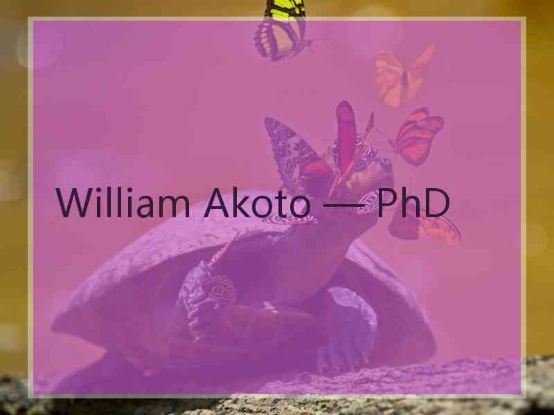 William Akoto — PhD