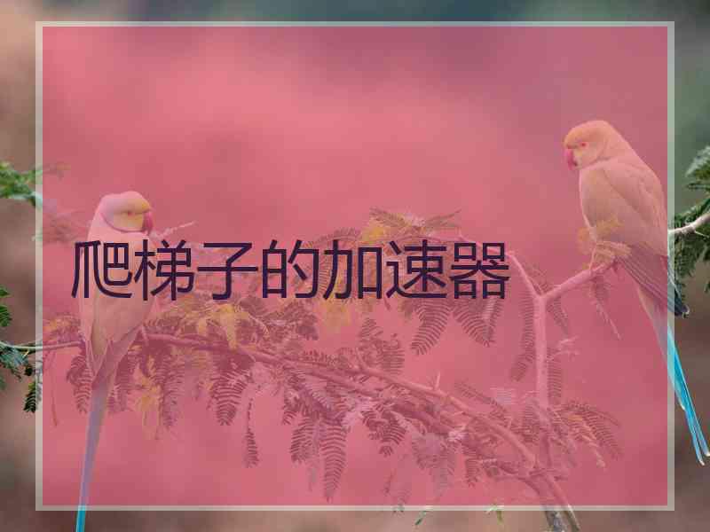 爬梯子的加速器
