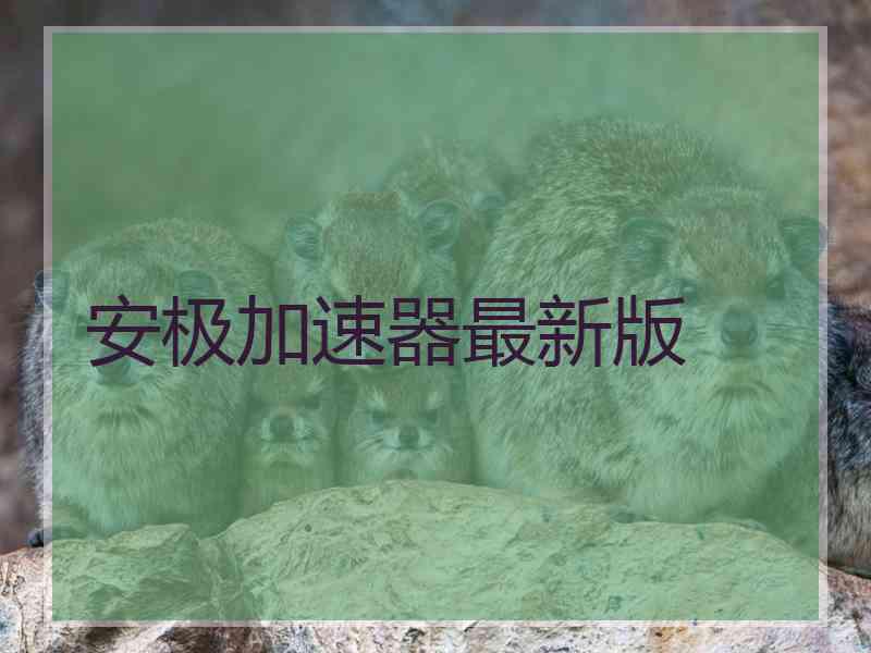安极加速器最新版