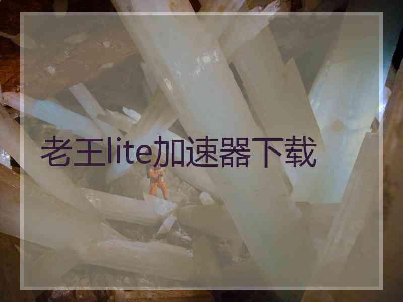老王lite加速器下载