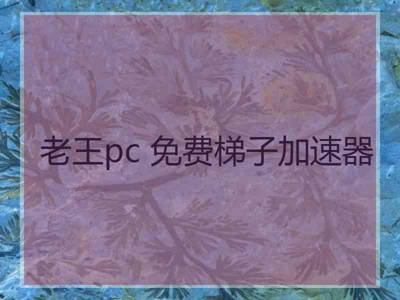 老王pc 免费梯子加速器