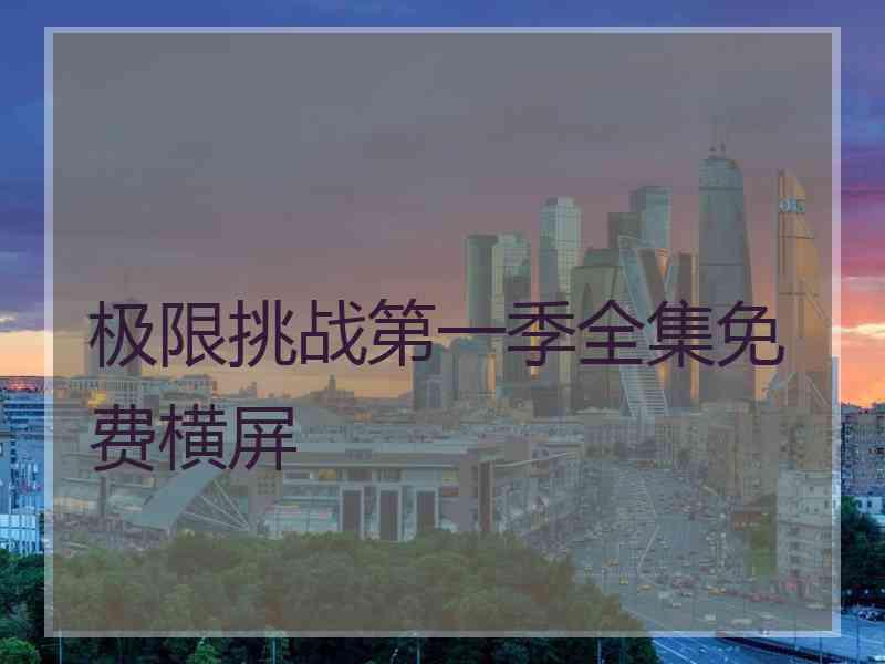 极限挑战第一季全集免费横屏