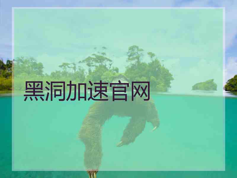 黑洞加速官网