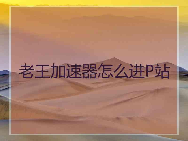 老王加速器怎么进P站