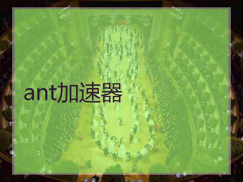 ant加速器