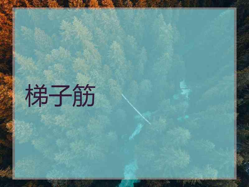 梯子筋