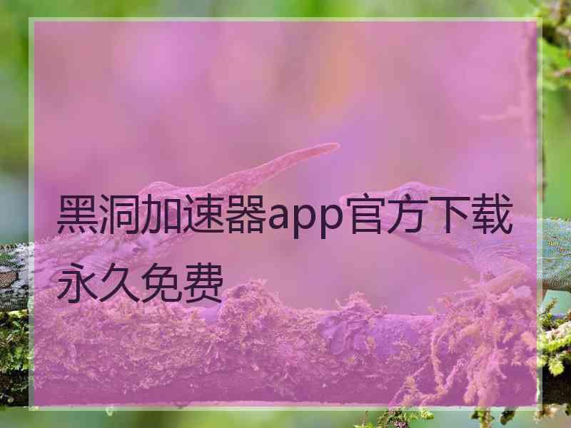 黑洞加速器app官方下载永久免费