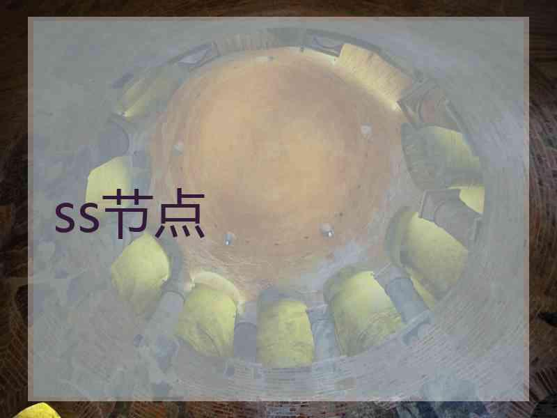 ss节点
