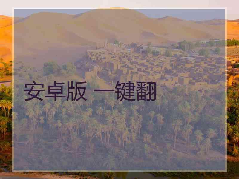 安卓版 一键翻
