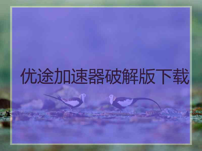 优途加速器破解版下载