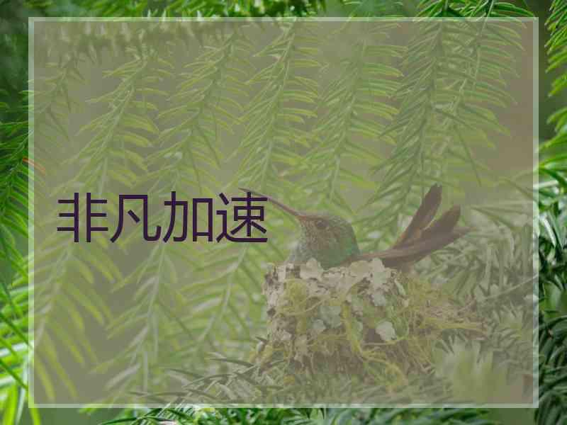非凡加速