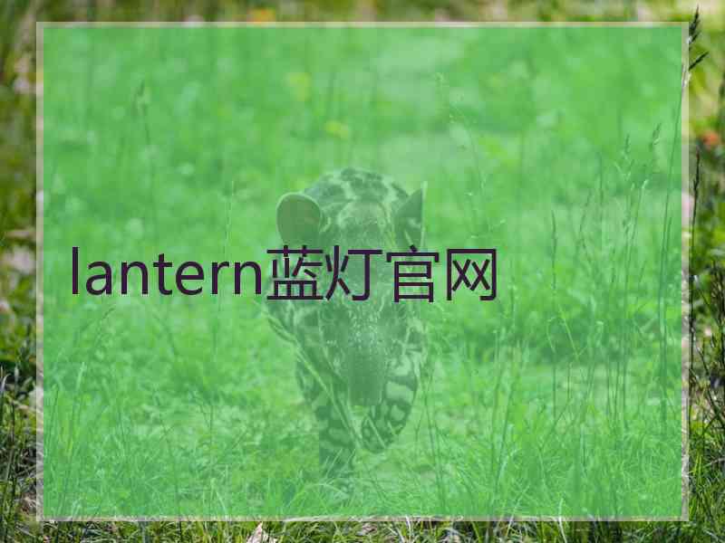 lantern蓝灯官网